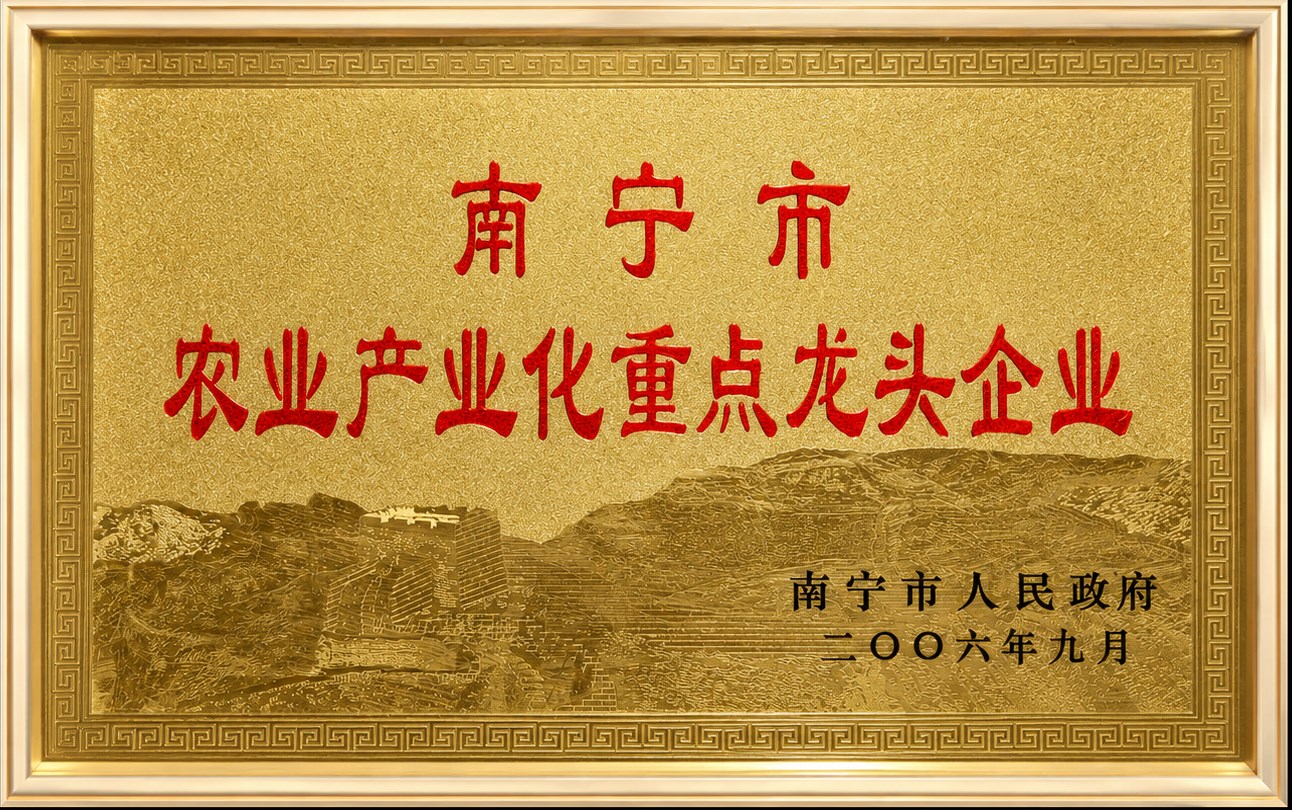 南宁市农业产业化重点龙头企业证书